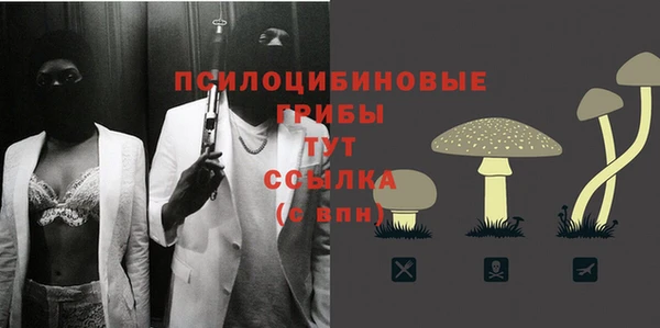 MESCALINE Пересвет