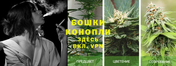 MESCALINE Пересвет