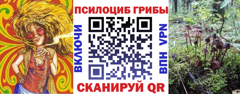 Купить где  Магас  Псилоцибиновые грибы мицелий 